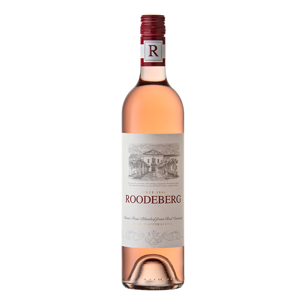 K.W.V Rooderberg rose